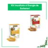 Kit Imunitate si Energie de Sarbatori | Fiole naturiste cu miere