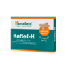 Koflet-H ghimbir