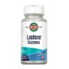Lactase Enzymes