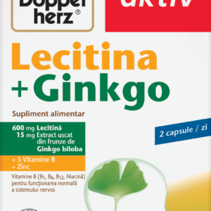 Lecitina + Ginkgo