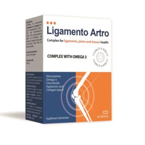 Ligamento Artro