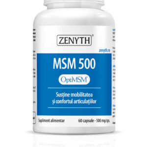 MSM 500mg