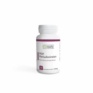 MSM Metilsulfonilmetan 550MG