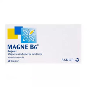 Magne B6