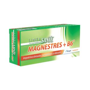 MagneStress + B6