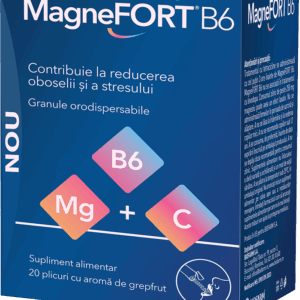Magnefort B6