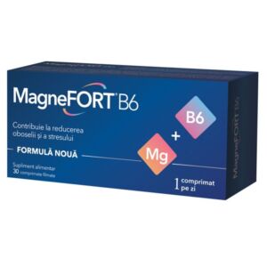 Magnefort B6