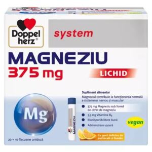 Magneziu lichid System