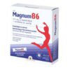 Magnum B6