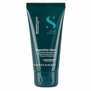 Masca de par Reconstruction Mini