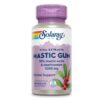 Mastic Gum 500 mg