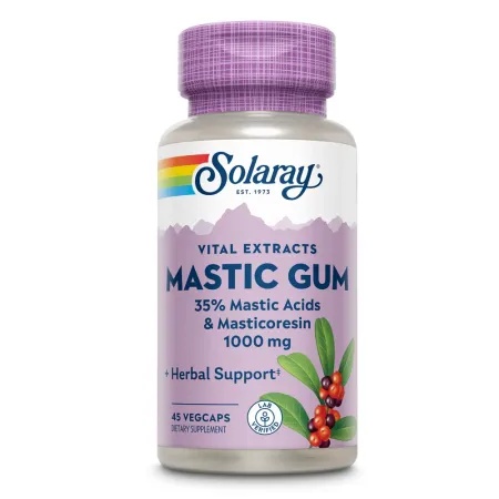 Mastic Gum 500 mg