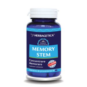 Memory Stem