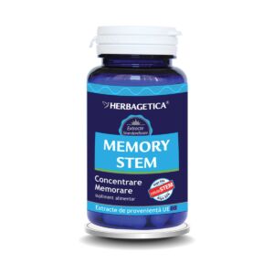 Memory Stem