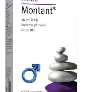 Montant