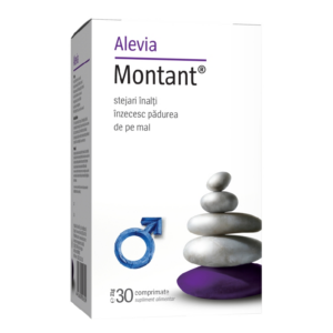 Montant