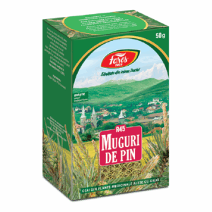 Muguri de pin