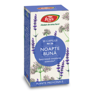 Noapte buna