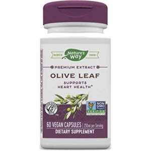 Olive Leaf 20% SE Nature's Way