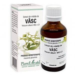 PLE Extract din mladite de vasc