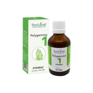 POLYGEMMA nr. 1 Stomac