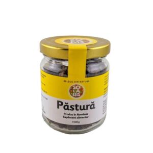 Pastura