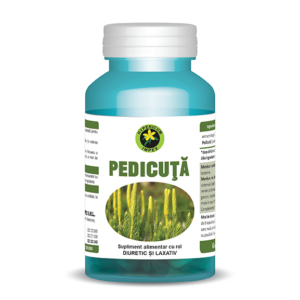 Pedicuta