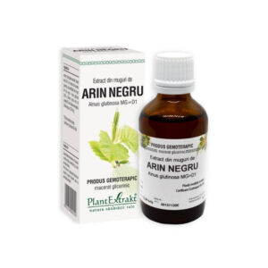 Plant Extrakt Muguri de arin negru