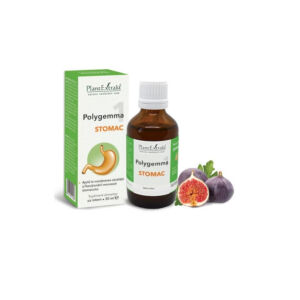 PlantExtrakt Polygemma 1 ( stomac ) x 50 ml