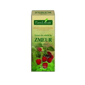 Plantextrakt Extract din mlădiţe de ZMEUR