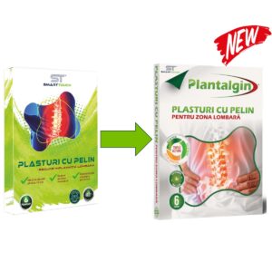 Plasturi cu pelin pentru dureri lombare
