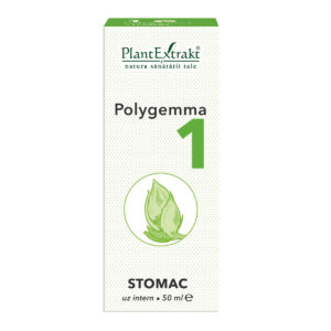 Polygemma 1
