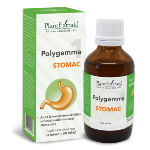 Polygemma 1