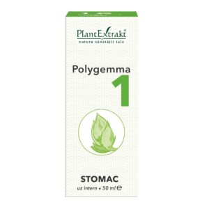Polygemma 1 Stomac