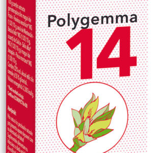 Polygemma 14