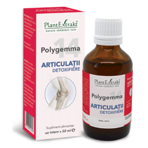 Polygemma 14