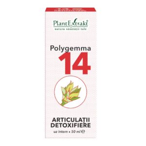 Polygemma 14 Articulatii detoxifiere