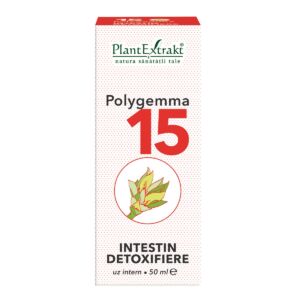Polygemma 15