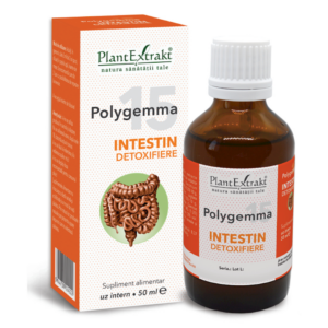 Polygemma 15