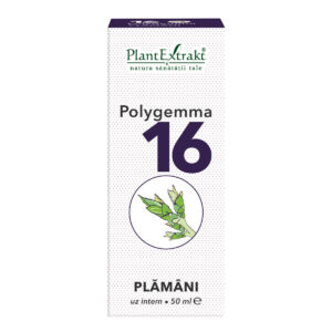 Polygemma 16