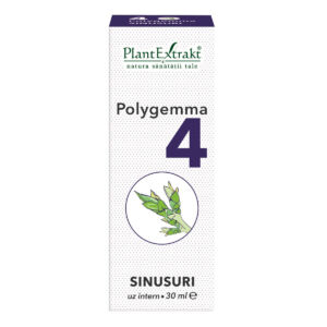 Polygemma 4