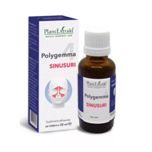 Polygemma 4