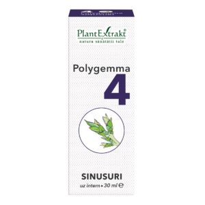 Polygemma 4 sinusuri