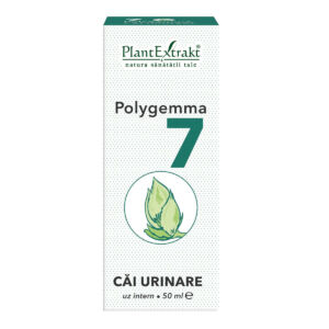 Polygemma 7