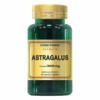 Premium Astragalus Extract 9000mg