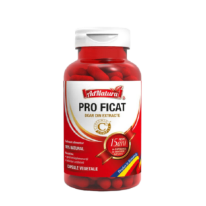 Pro Ficat