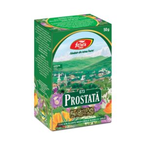 Prostata