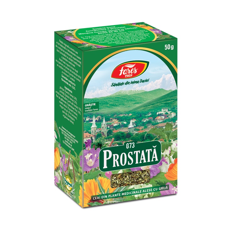 Prostata
