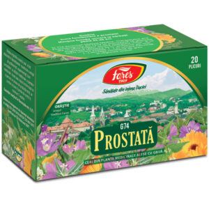 Prostata