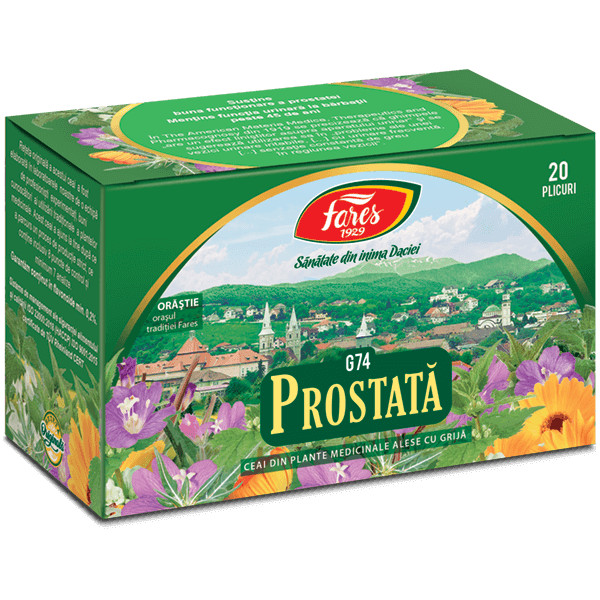 Prostata